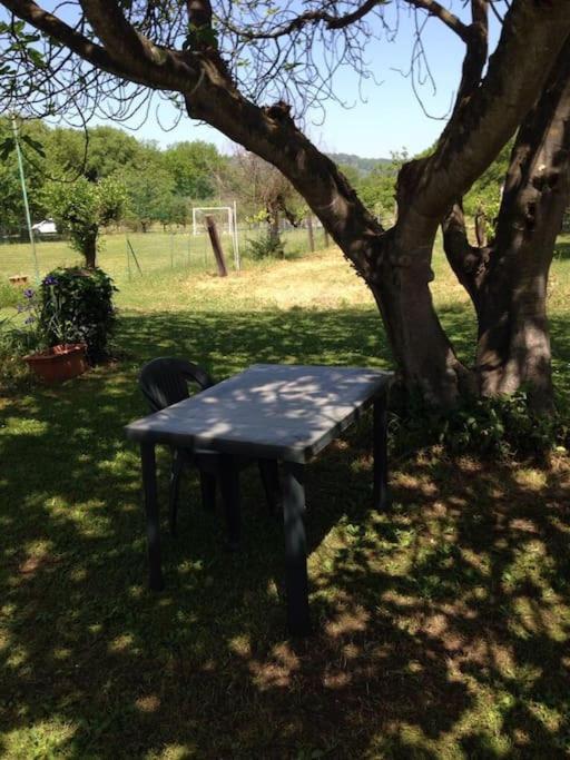 Chalet La Sequoia Orte Εξωτερικό φωτογραφία
