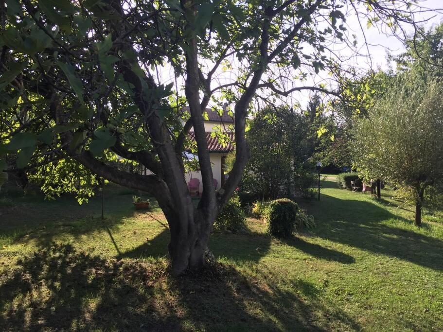 Chalet La Sequoia Orte Εξωτερικό φωτογραφία